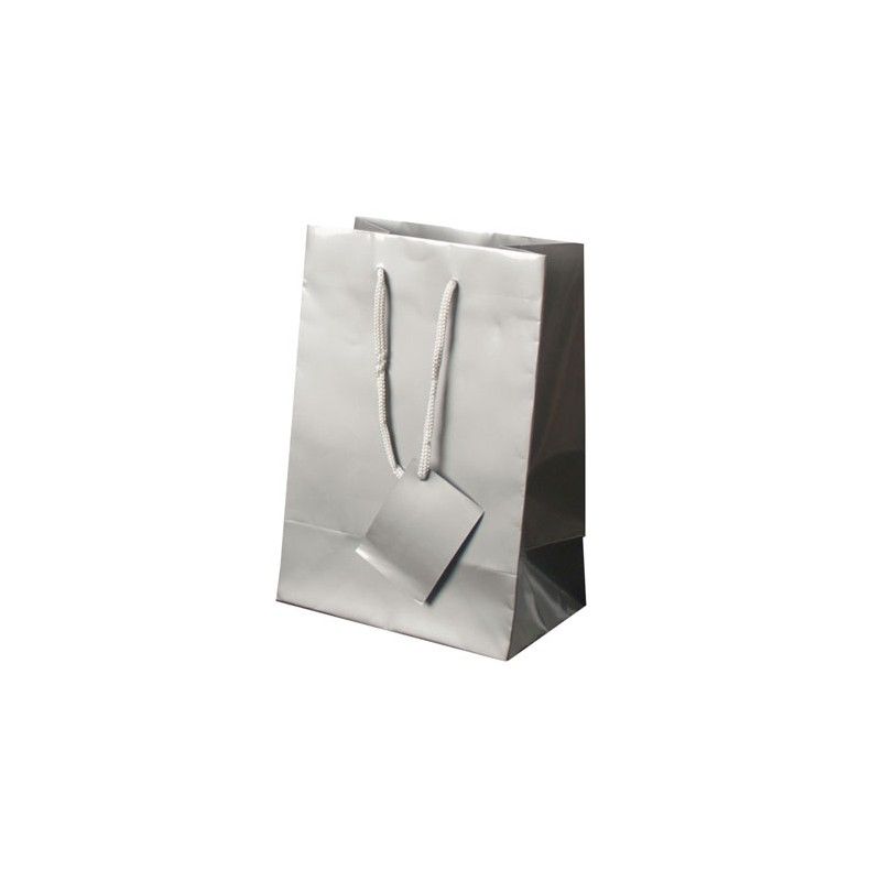 Bolsa Regalo Adele Plata 22x30x11cm