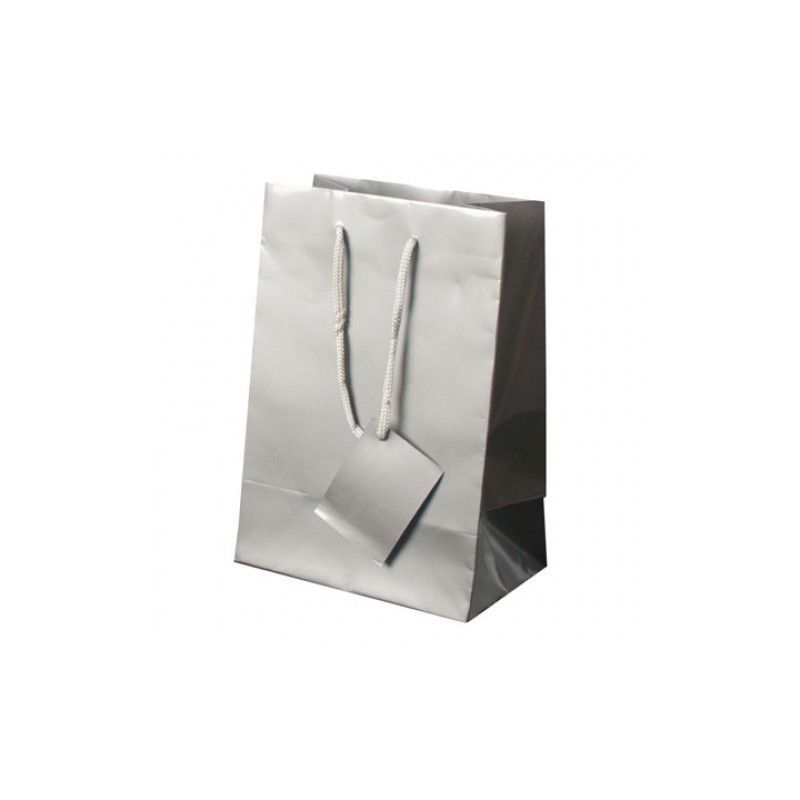 Bolsa Regalo Blake Plata 16x23x10cm
