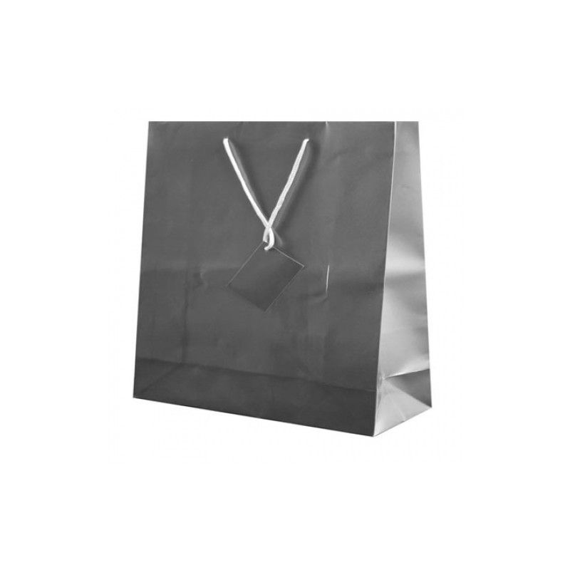 Bolsa Regalo Charis Plata 40x36x11cm