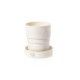 Vaso Plegable Sainod